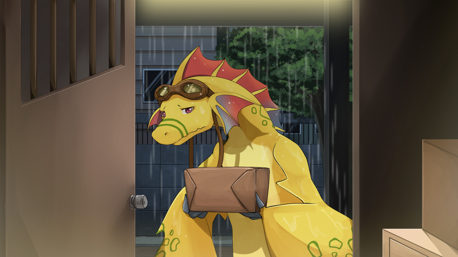 Image 3