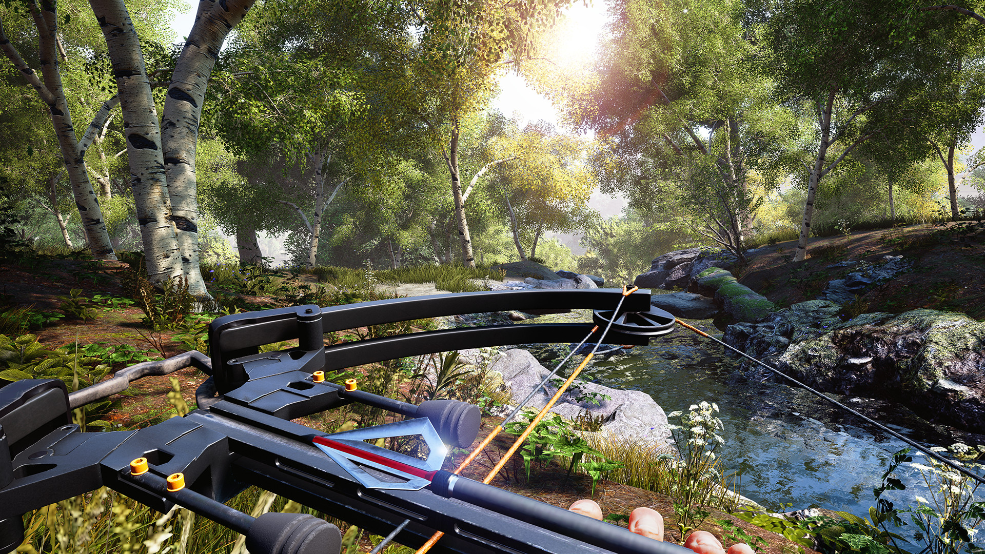 模拟狩猎|全DLC|6G大小|官方中文|支持手柄|Hunting Simulator