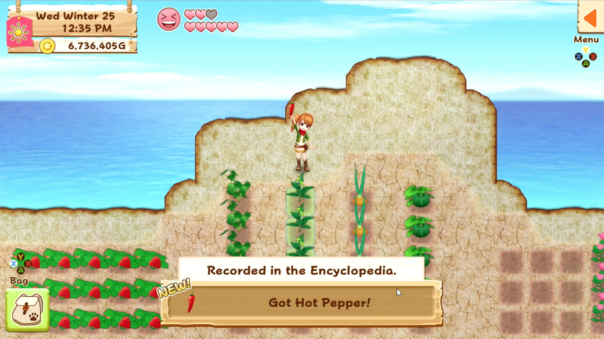牧场物语：希望之光/Harvest Moon: Light of Hope Special Edition - 3