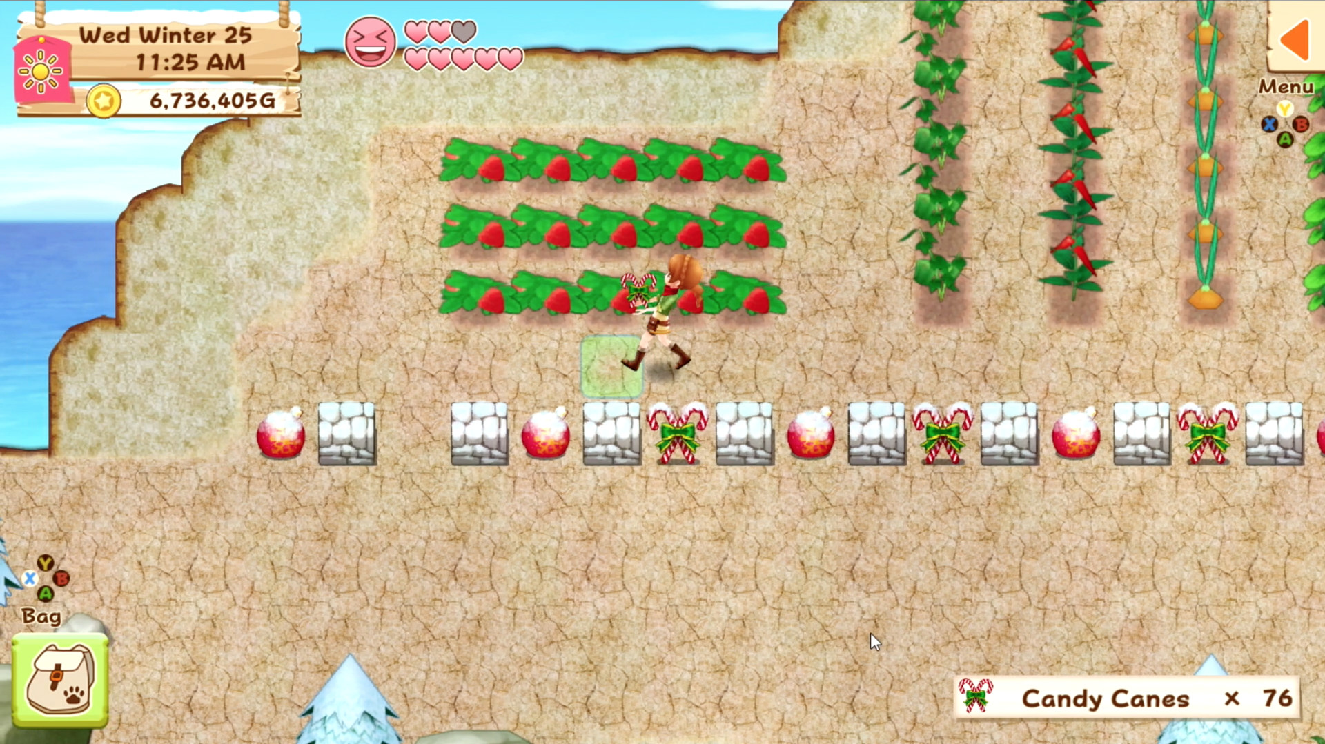 牧场物语：希望之光/Harvest Moon: Light of Hope Special Edition - 6