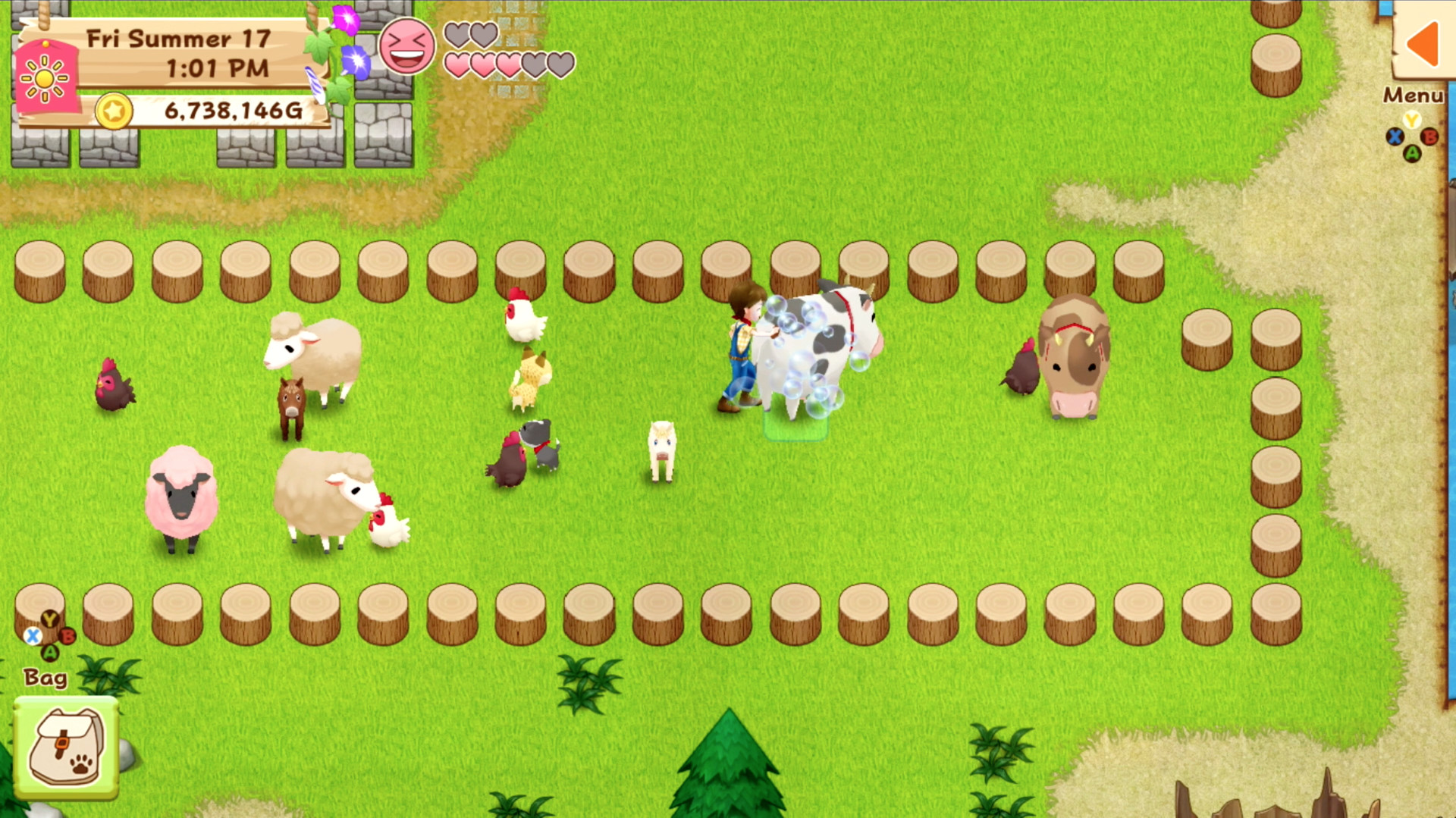 牧场物语：希望之光/Harvest Moon: Light of Hope Special Edition - 5