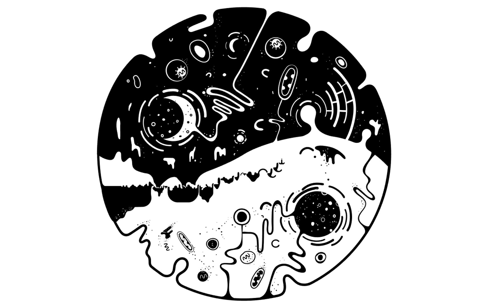 OVIVO - 3