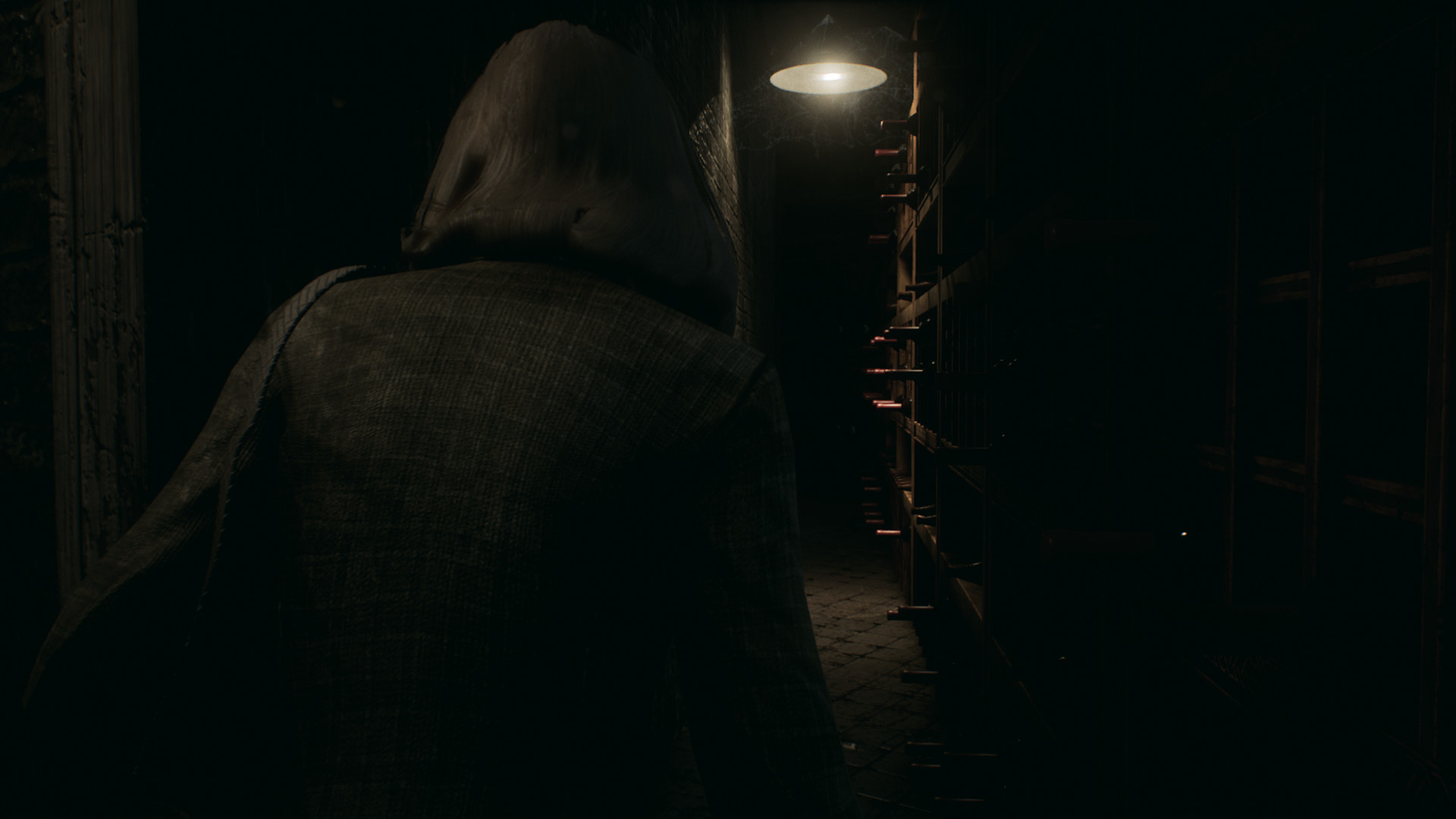 修道院：受难的父亲 Remothered: Tormented Fathers - 16