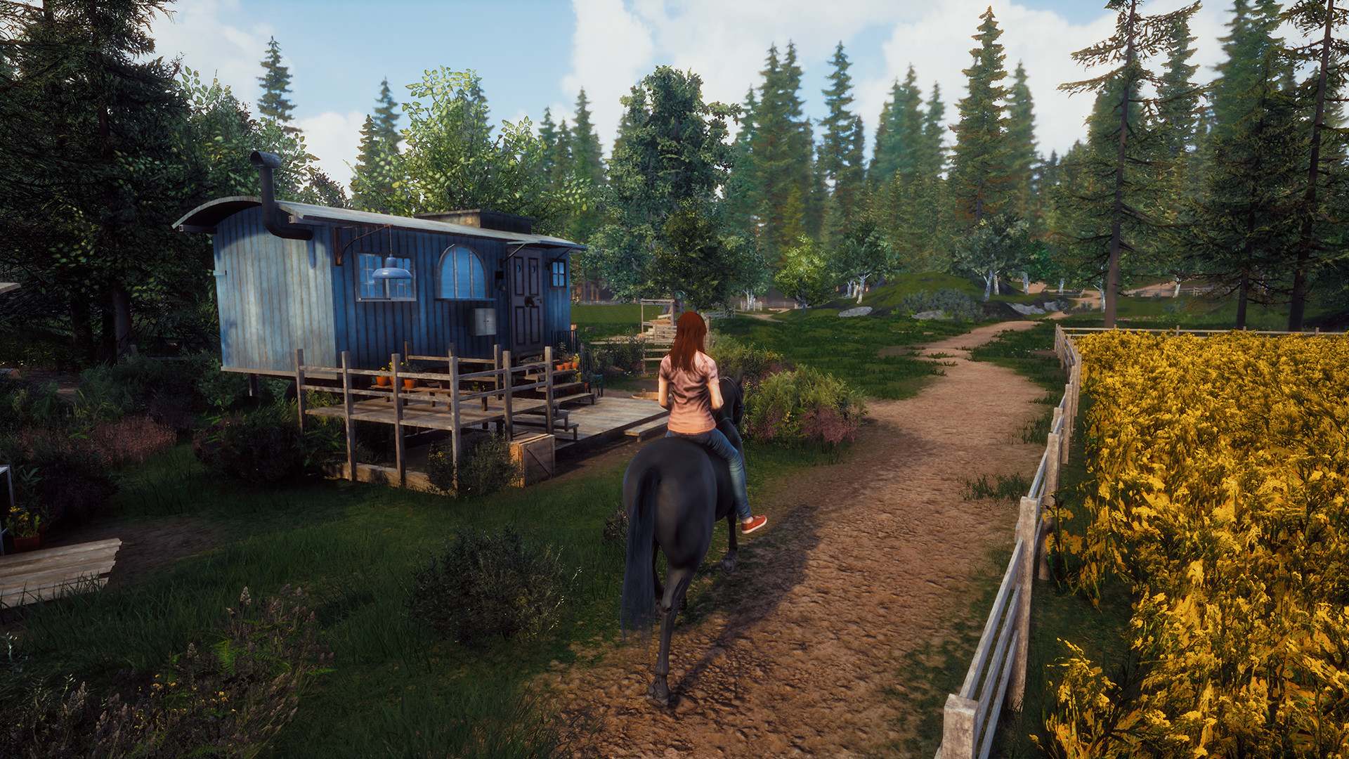 风暴：深厚友谊的开始/Windstorm: Start of a Great Friendship 截图 4