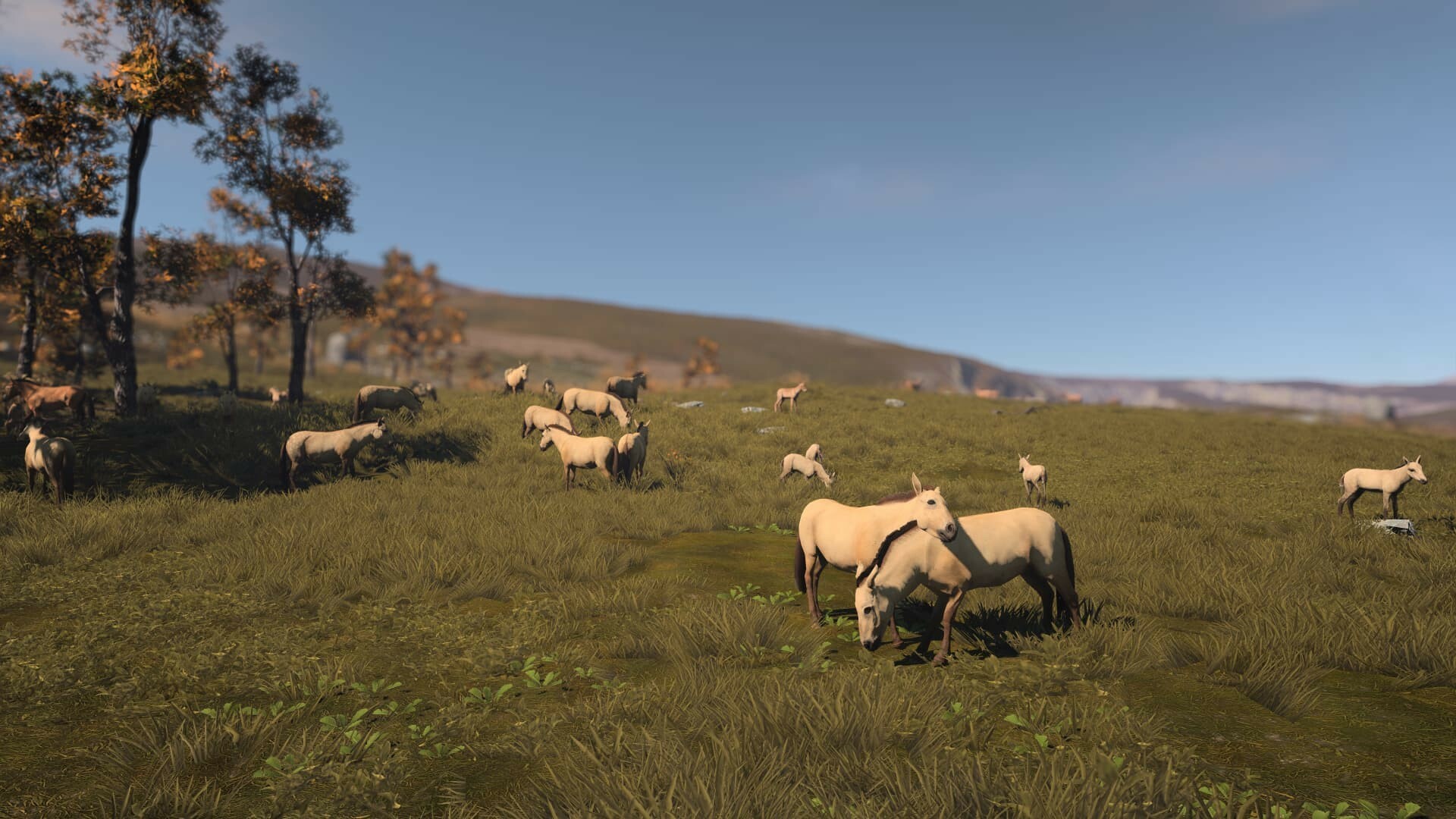 图片[5]-古城（Ancient Cities）免安装中文版下载-蒸汽游戏宝库 - 高质量Steam单机游戏下载站