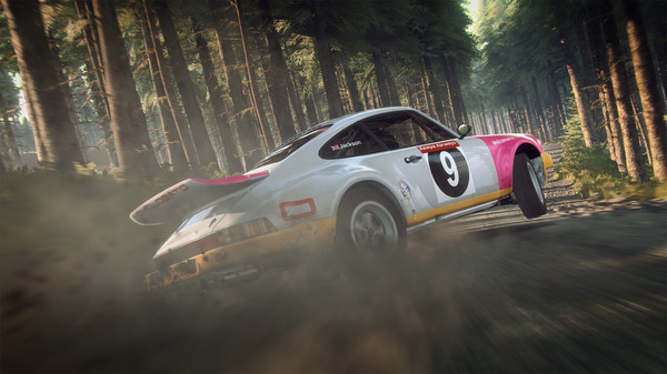 尘埃拉力赛2.0/DiRT Rally 2.0 - PC平台资源截图 4