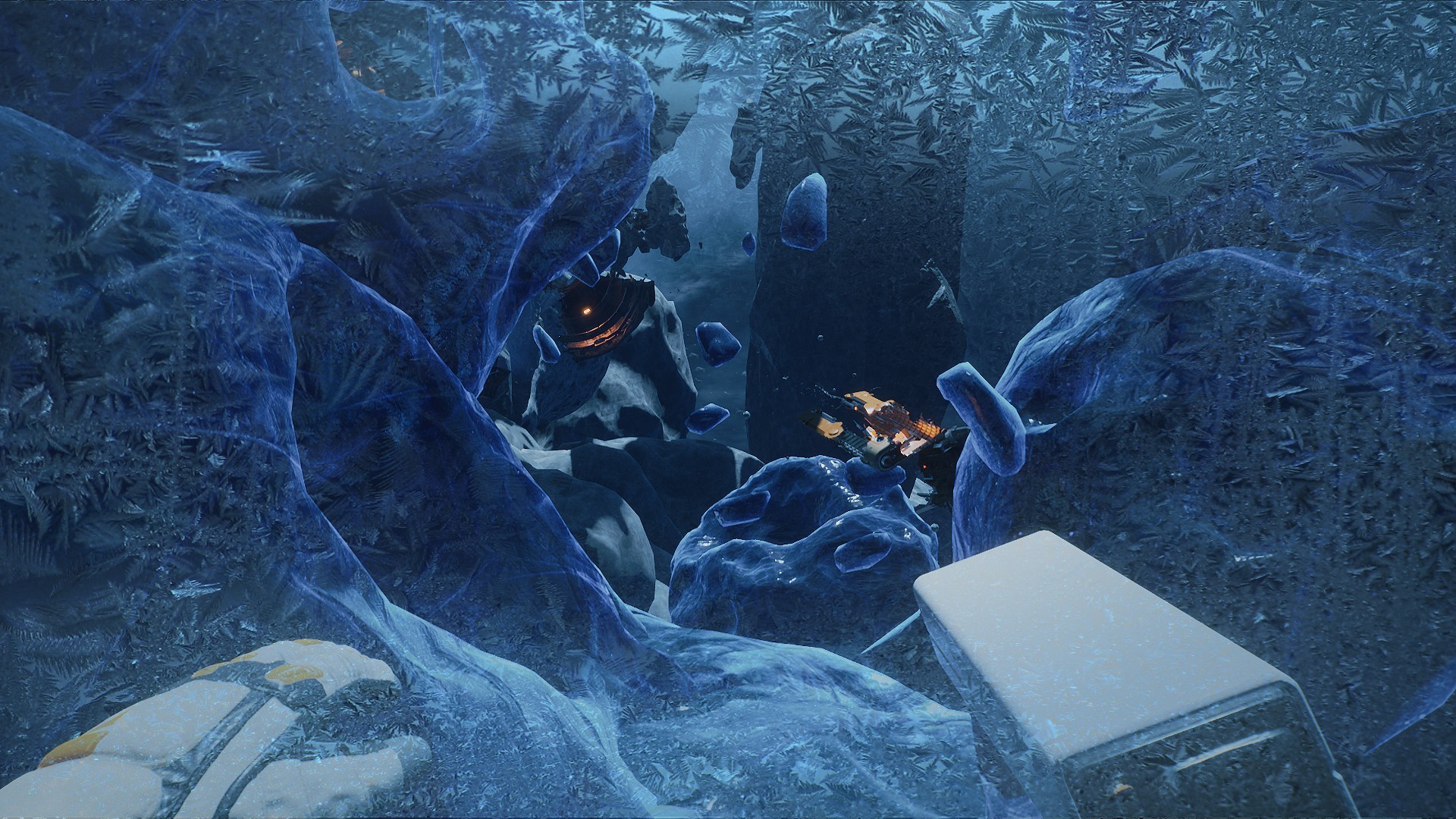 Image 6