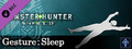 Monster Hunter: World - Gesture: Sleep