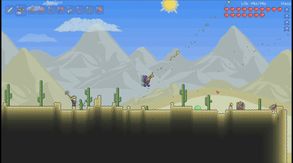 Video 5