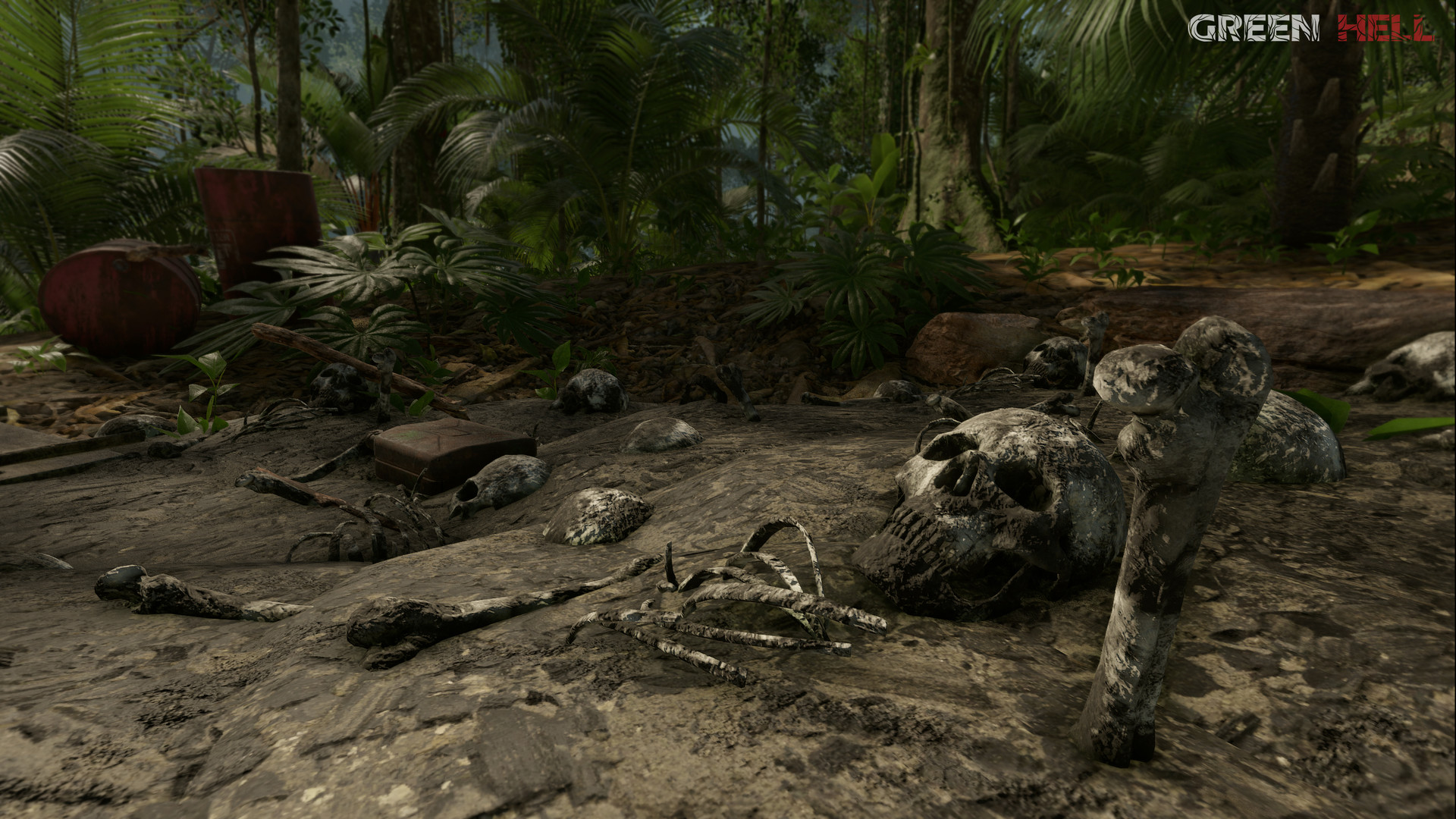 图片[28]-绿色地狱（Green Hell）免安装中文版下载-蒸汽游戏宝库 - 高质量Steam单机游戏下载站