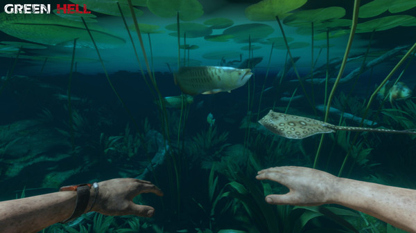 绿色地狱 图片 14