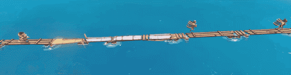 浮木|Flotsam最新版官方中文免费下载