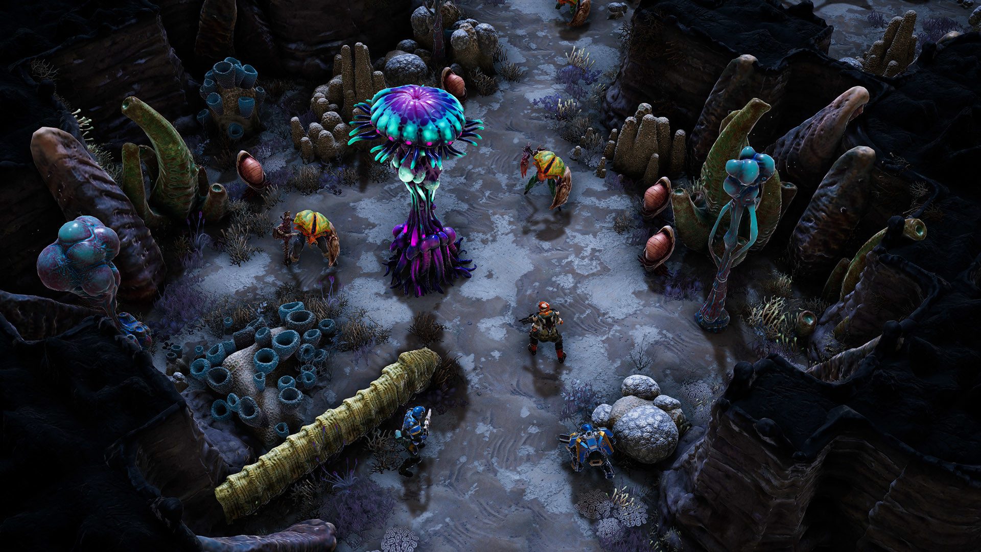 图片[10]-凤凰点|豪华中文|V1.30.0-灰土重燃-破序纪元+预购特典+全DLC|解压即撸|-3DD游戏屋