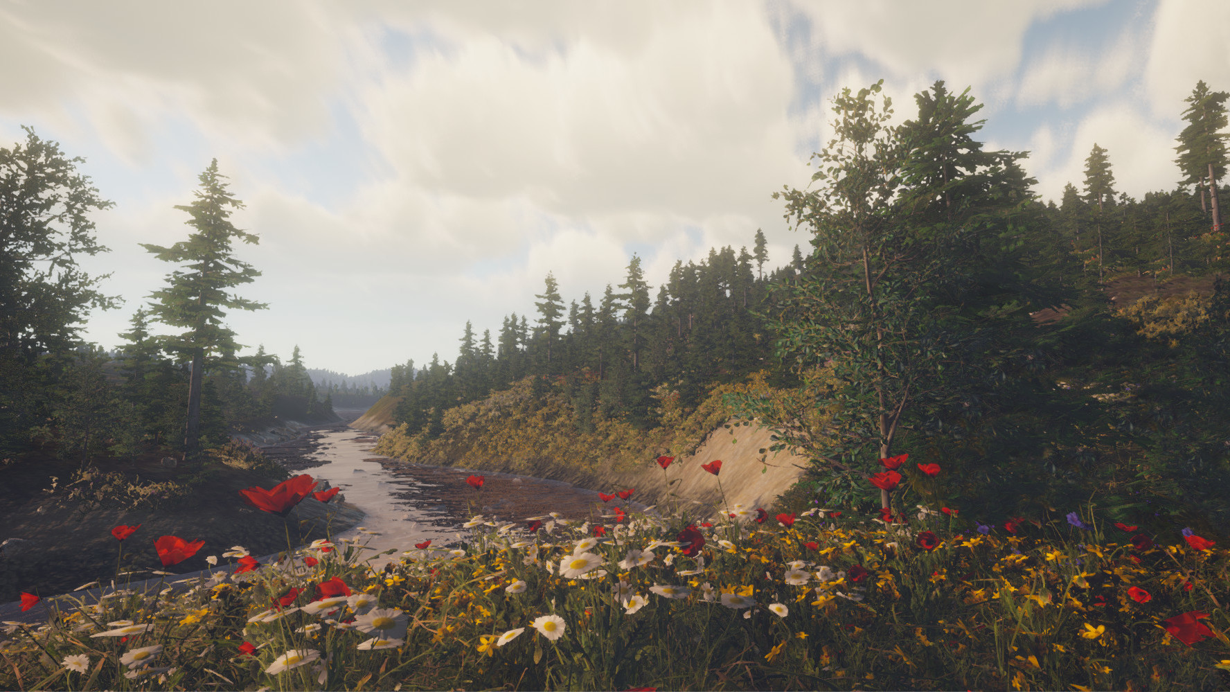 Image 32