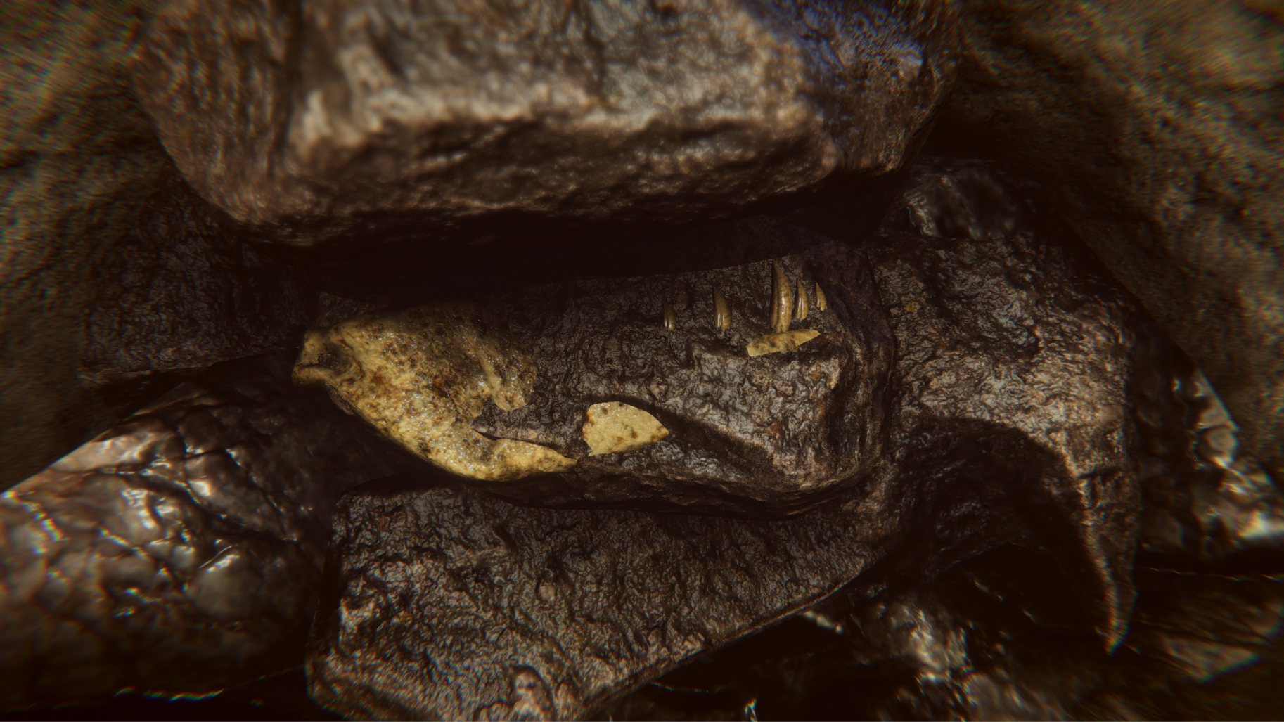 Image 35