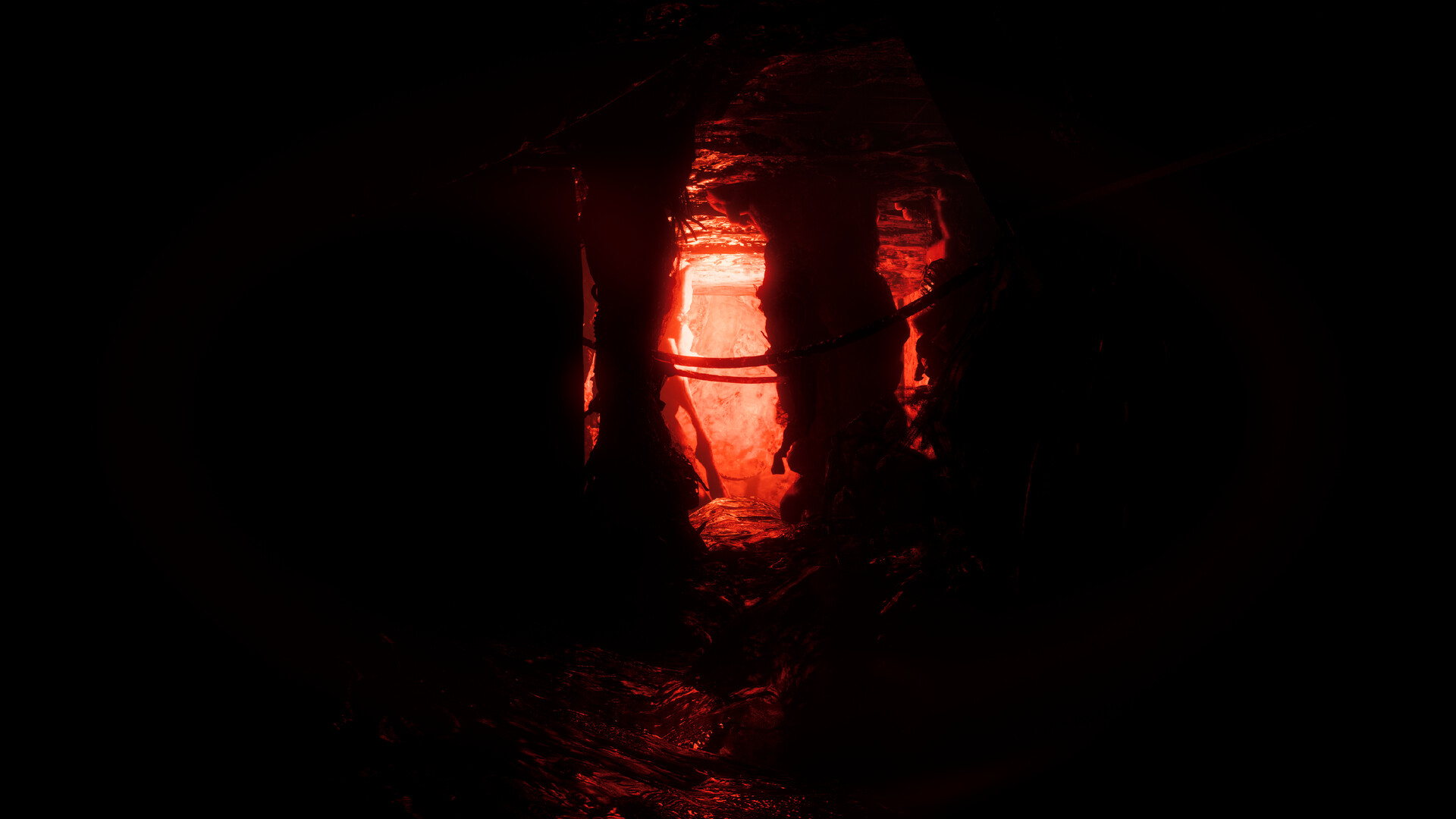 Image 24