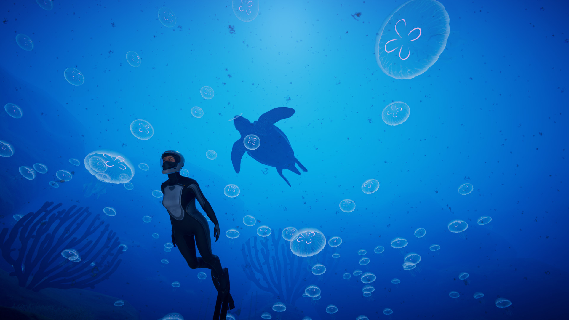 深海超越/Beyond Blue - 13