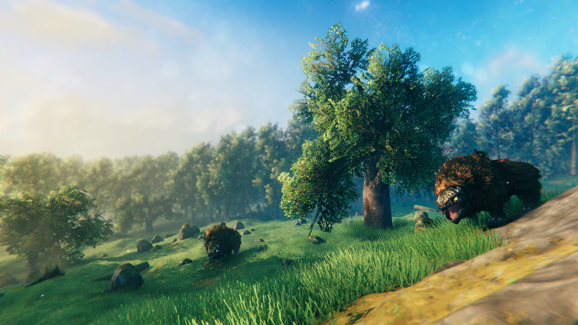 Valheim: 英灵神殿 截图 16
