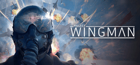 《僚机计划/Project Wingman》V2.0.11.B.33|官中|支持键鼠.手柄|容量13.2GB