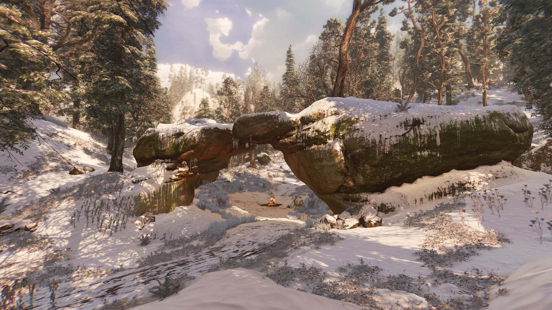 太阳的尽头/The End of The Sun 截图 11