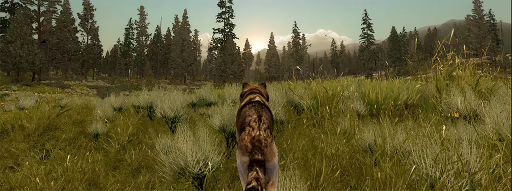 Wolf trotting towards sunrise
