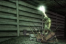Video 6