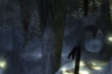 Video 5