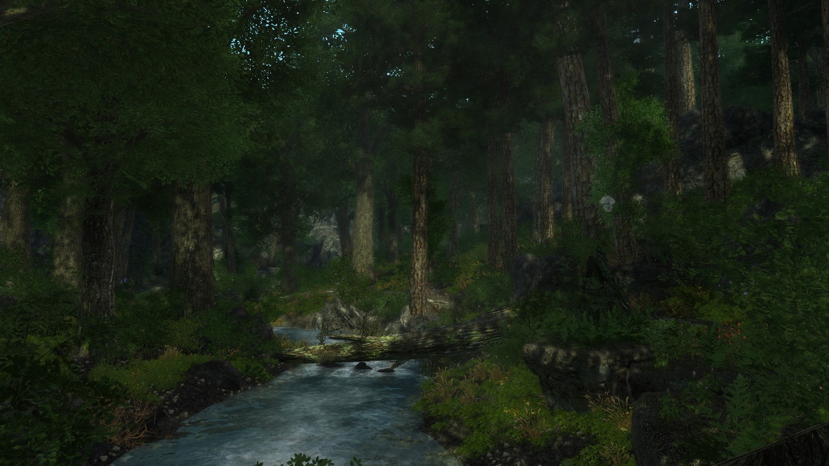 恩达瑞尔：被遗忘的故事|官方中文|Build.9091768-衰落的王国|Enderal: Forgotten Stories - 4