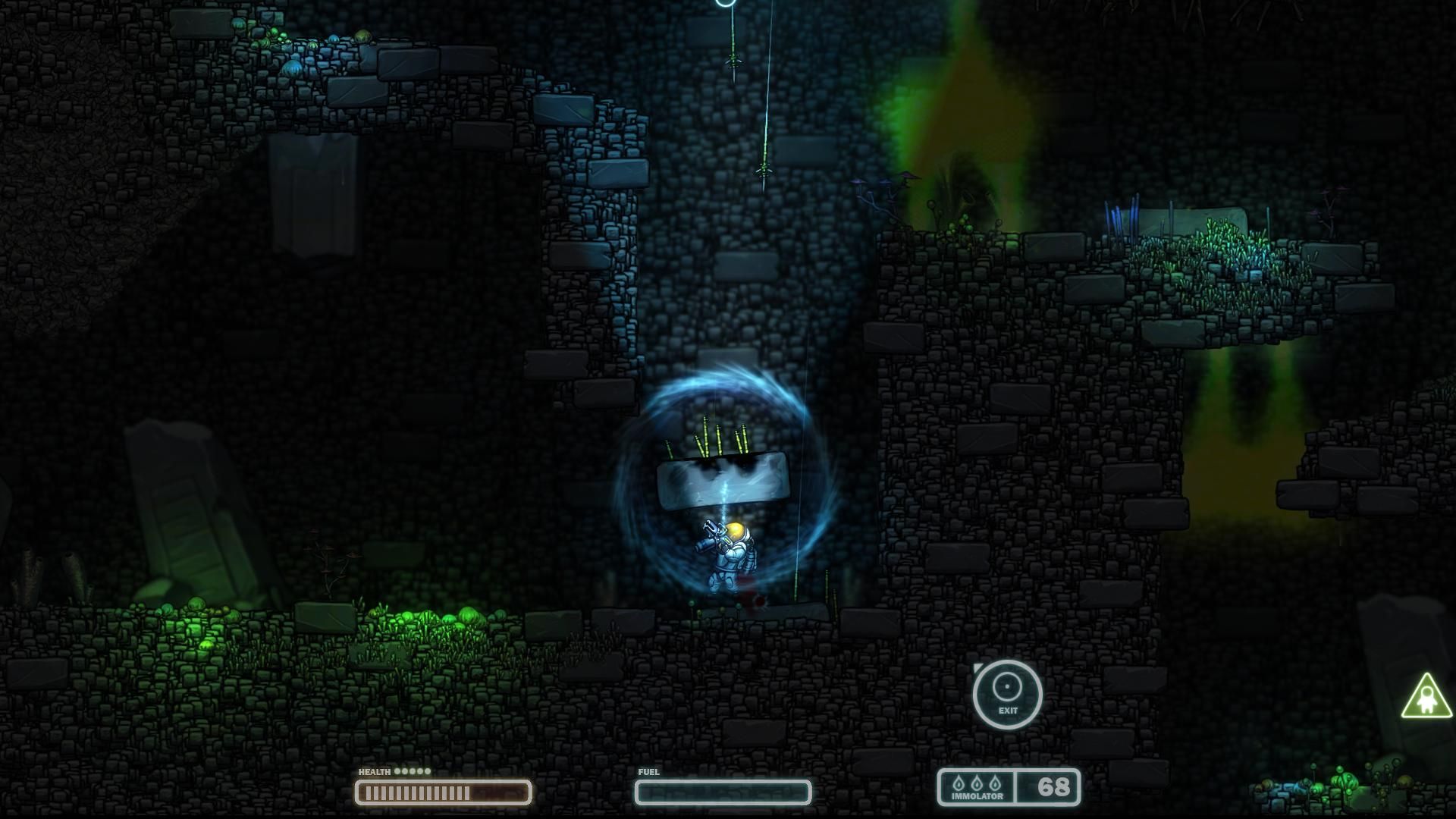 Image 5