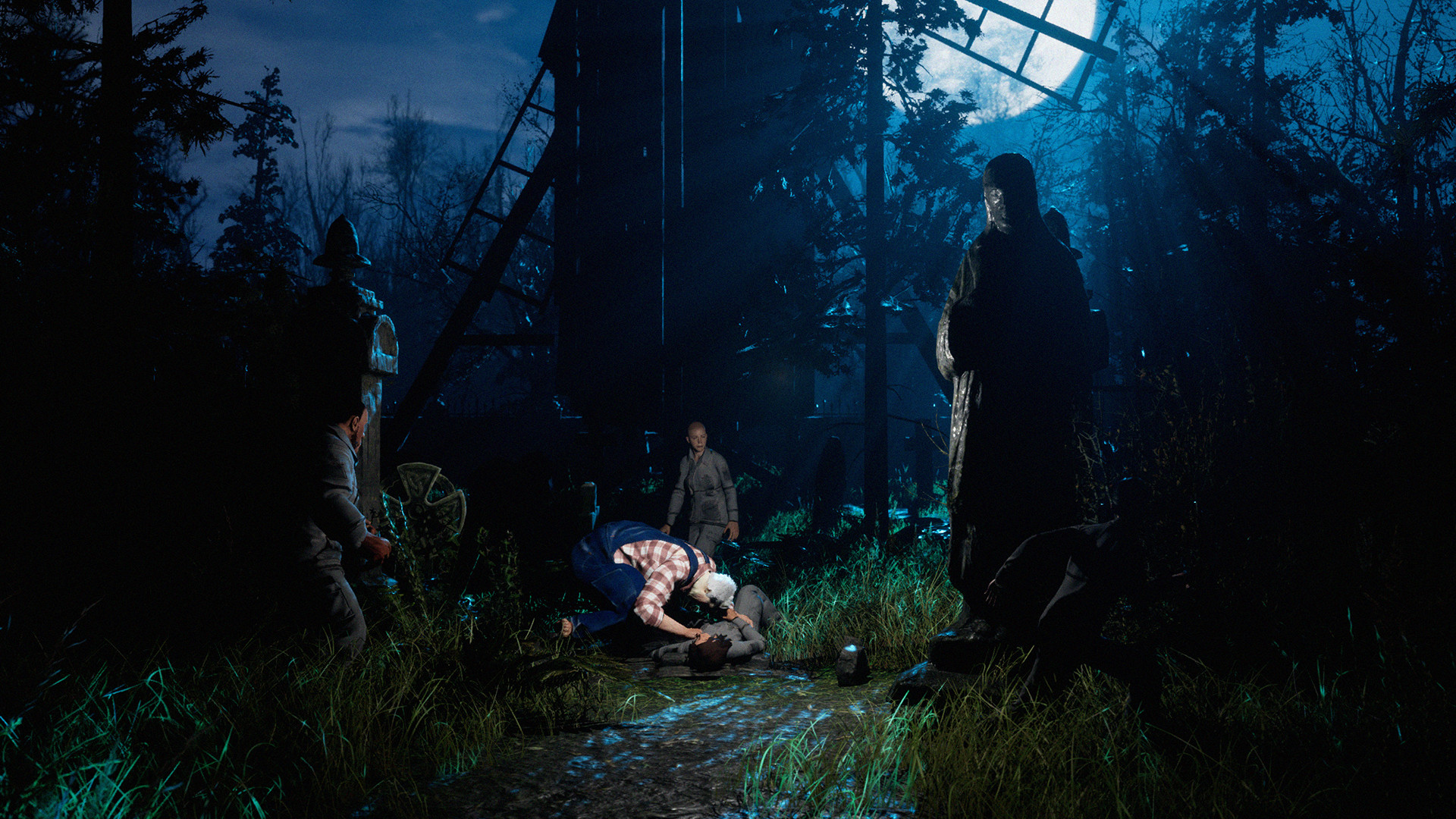 Image 14