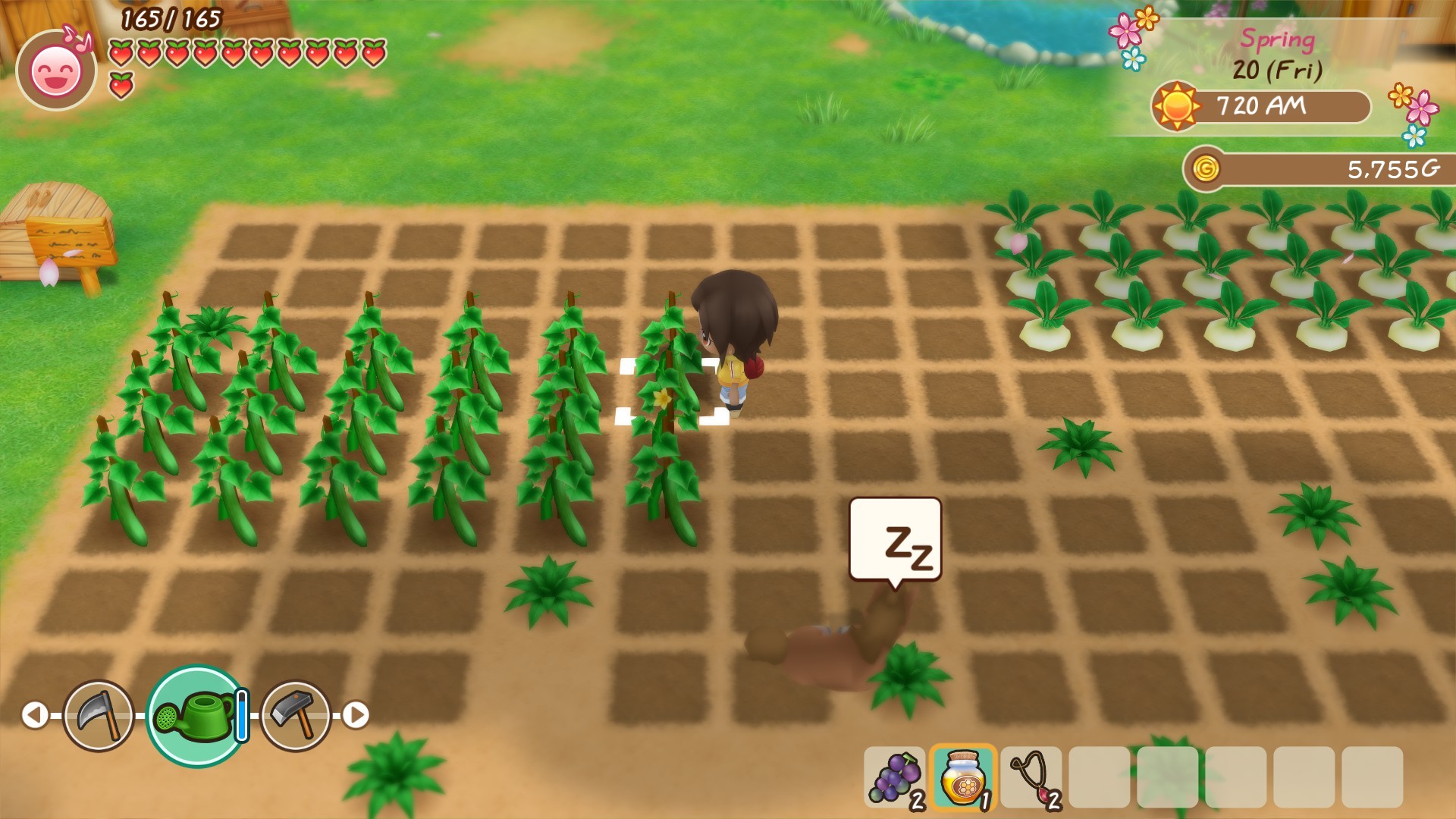 牧场物语：重聚矿石镇|v1.04|全DLC|2G大小|官方中文|支持手柄|STORY OF SEASONS: Friends of Mineral Town
