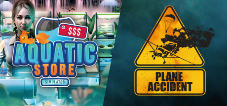 Plane Accident in Aquatic Store
