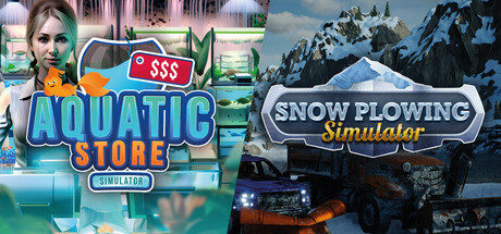 Snow Plowing in Aquatic Store
