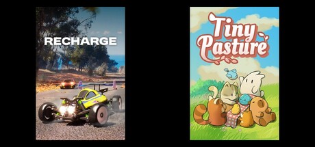 Recharge & Tiny Pasture