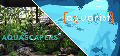 Aquascapers and Aquarist
